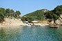 Platakia